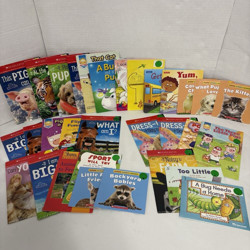 31 Kids Guided Reading Books Lot Levels A-D Kindergarten Scholastic Homeschool